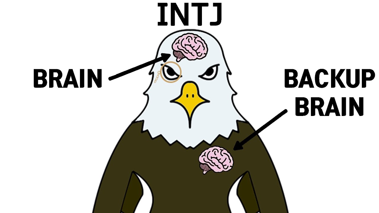 INTJ 남친 특징(feat. 겉차속따)
