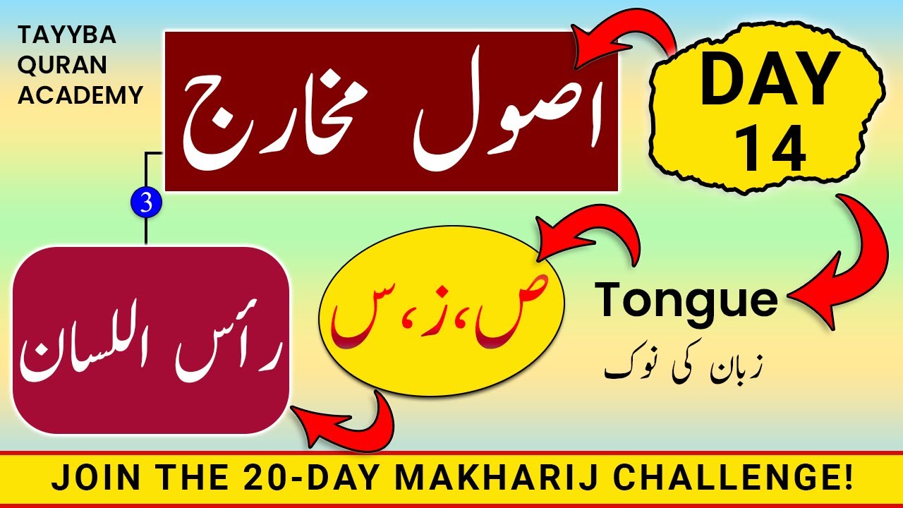 Usool e Makharij Day-14 | Makharij al huroof tajweed | Huroof e Safeer ZAA, SEEN & SUAD رأس اللسان