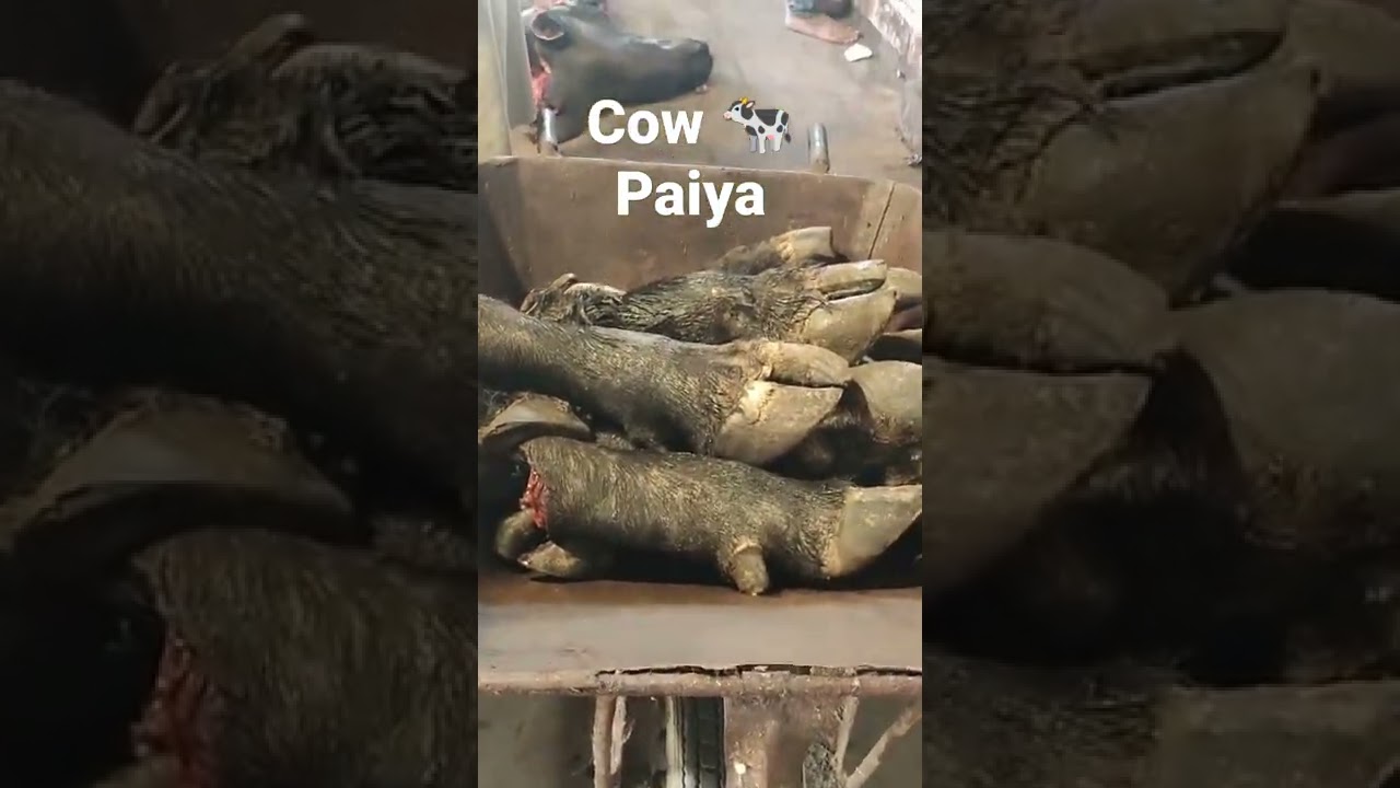 Cow Paya | Beef Paya Recipe | Paya ka Salan #youtubeshorts #short #shortvideo #ytshorts #shortsvideo