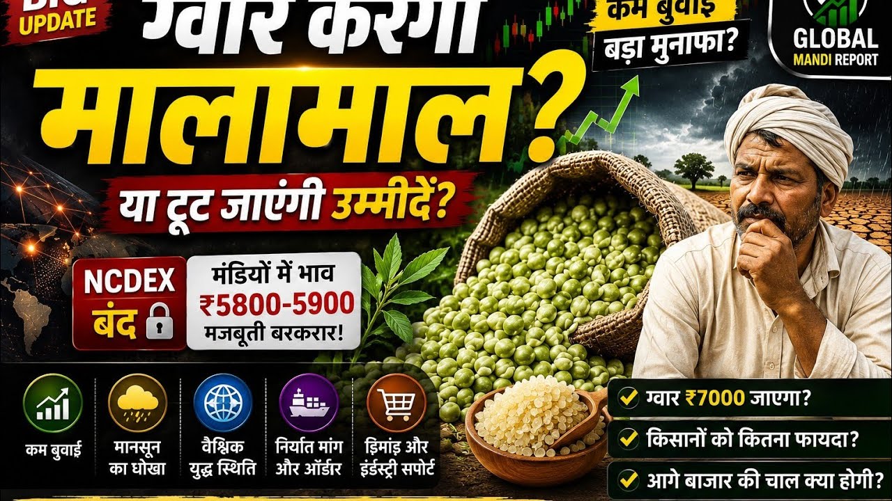🚨 Will Guar Bring Riches? Will Low Sowing Lead to ₹7000 Price or Will Hopes Be Dashed? | Guar Mar...