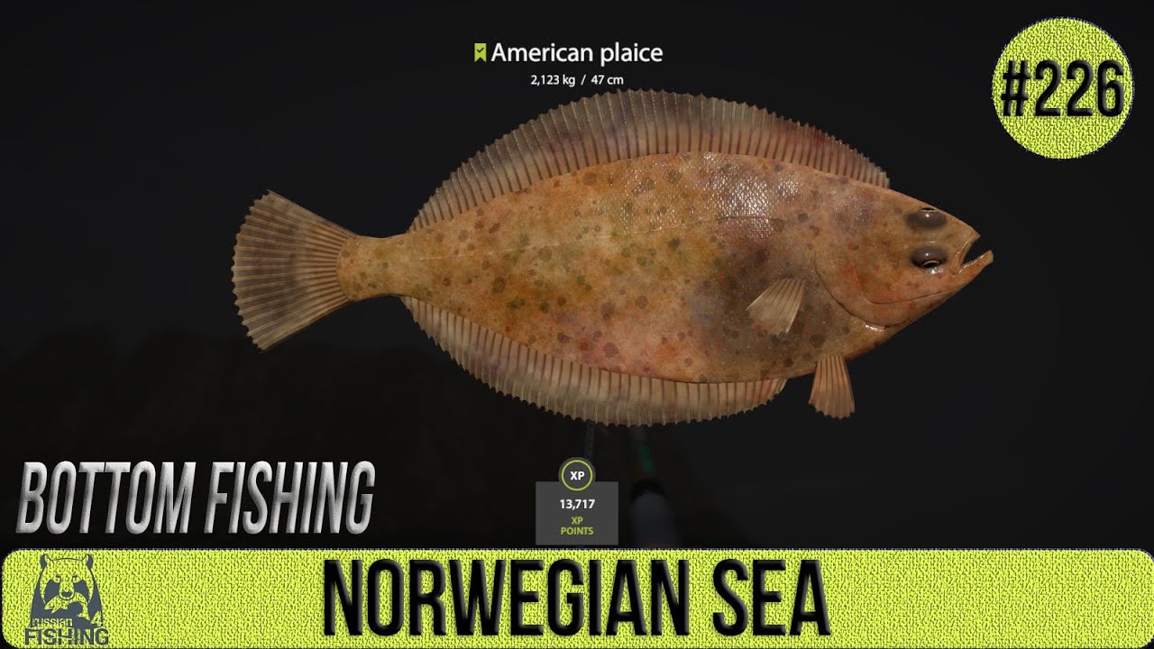 Russian Fishing 4 - Norwegian Sea - Bottom Fishing- #226