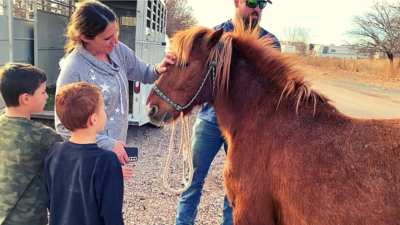 “WILD” and NEGLECTED PONY becomes SWEET GIFT