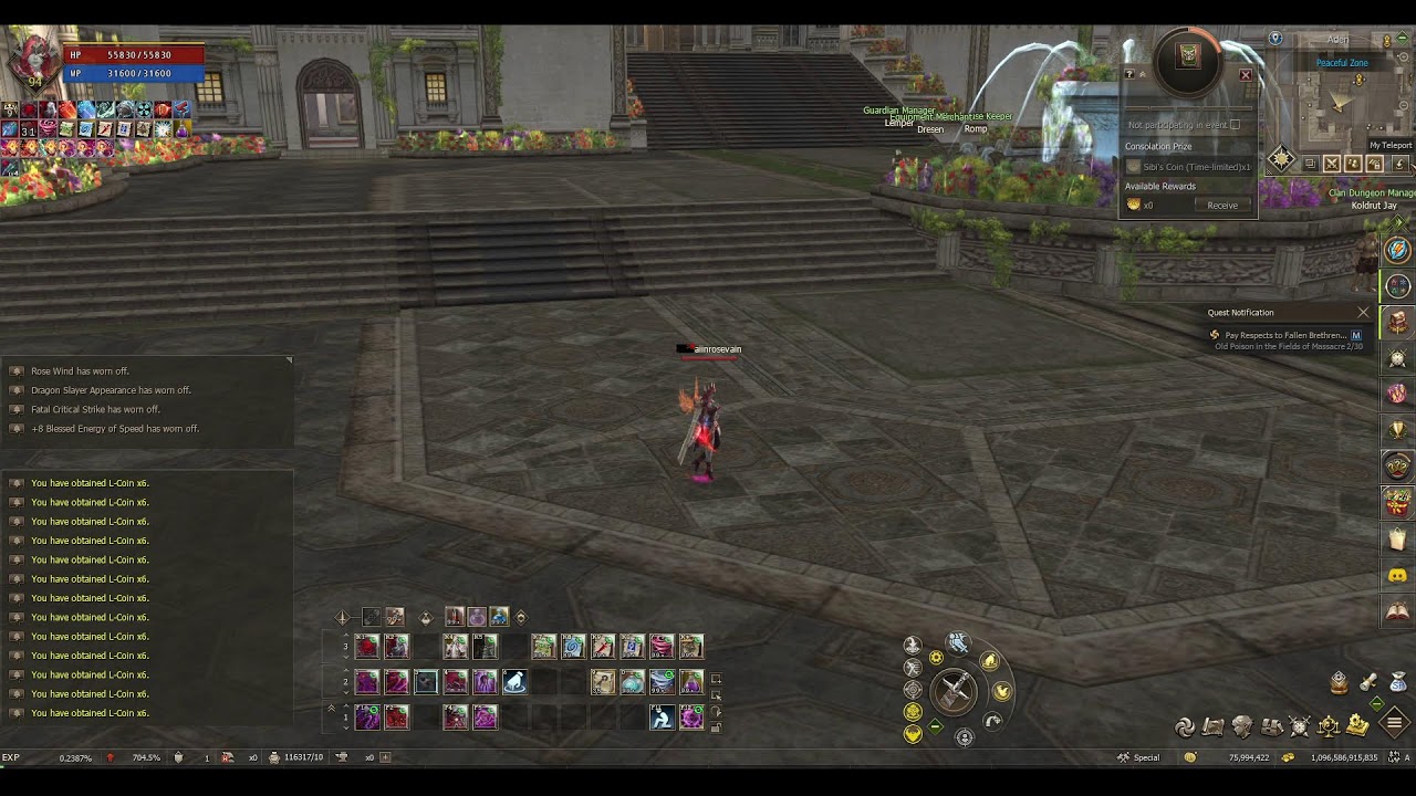 Lineage 2 - Rose Vain class test