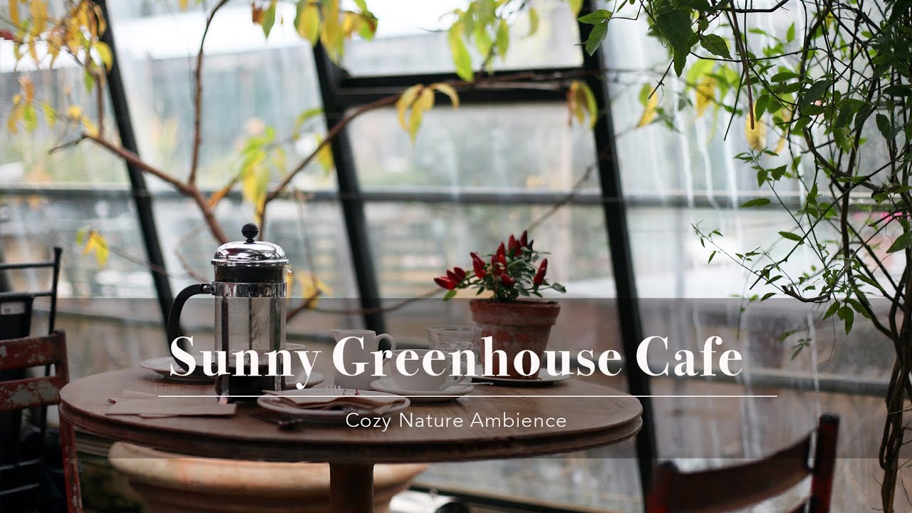Cozy Greenhouse Café 4K Ambience 🌿☕ | Sunny, Relaxing Lofi Beats for Study, Work & Calm