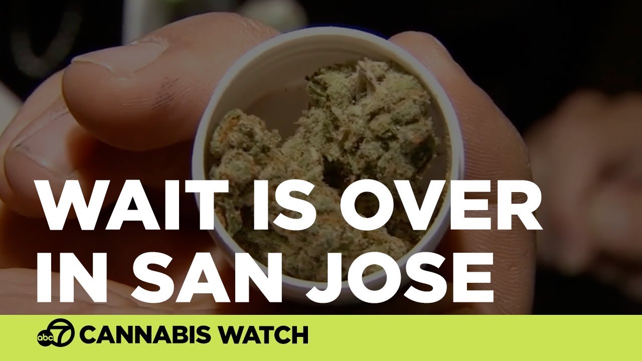 San Jose cannabis dispensary attracts big crowds