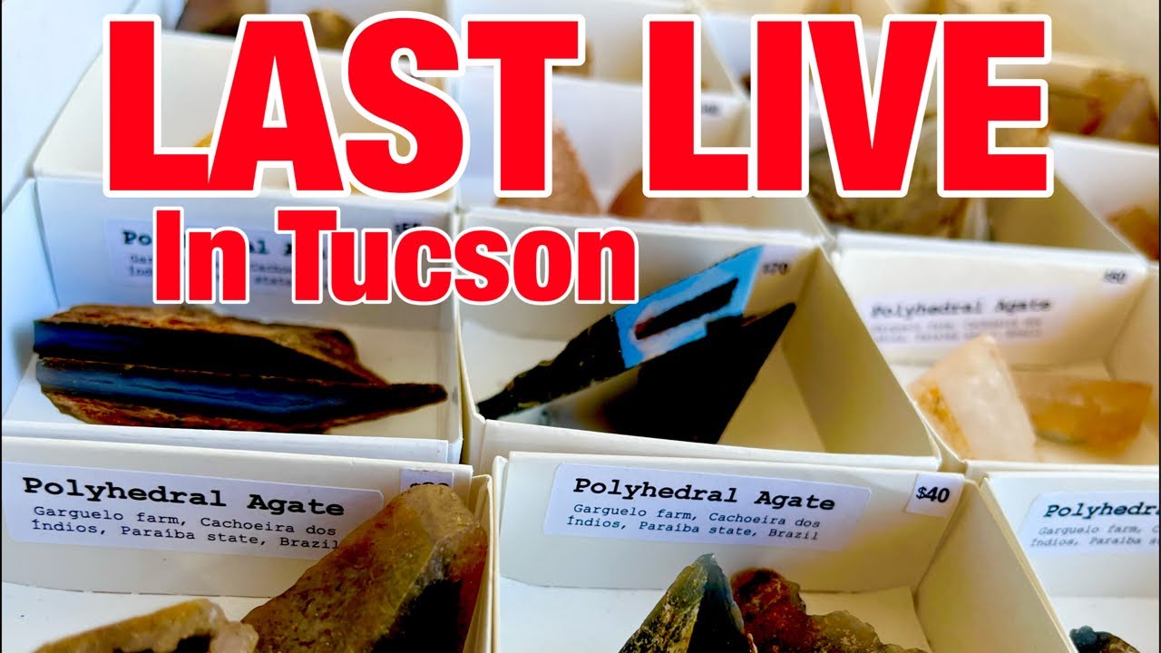 LAST LIVE in Tucson 2026