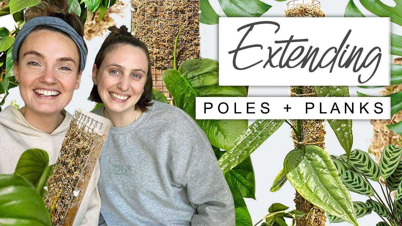 Extending Plant's Moss Poles + Planks 🌱 Plant Chores and Chat With 