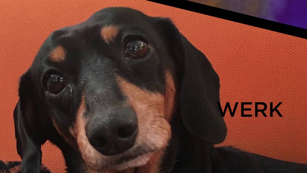 W Vapes: We Are W Vapes