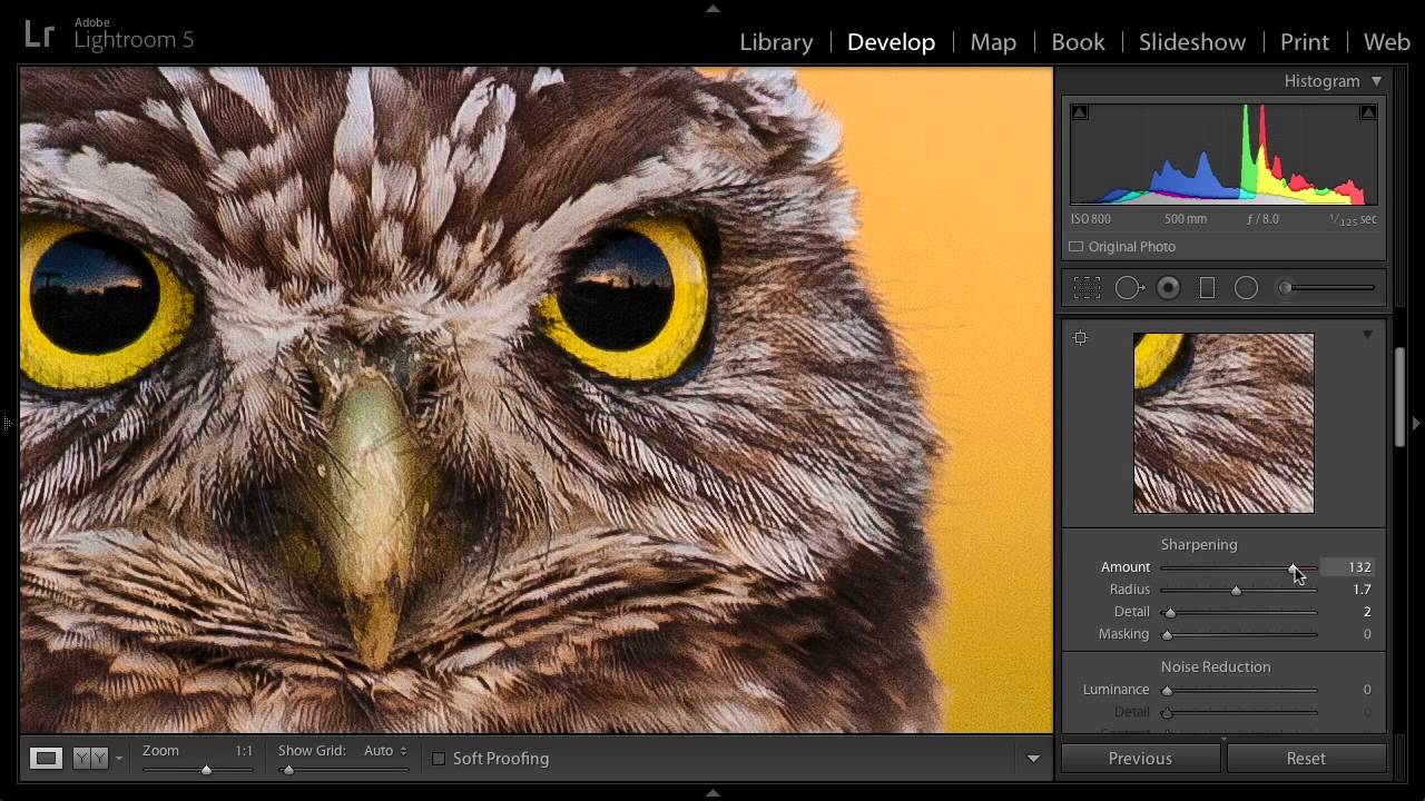 Editing for Print - Sharpening with Tim Grey