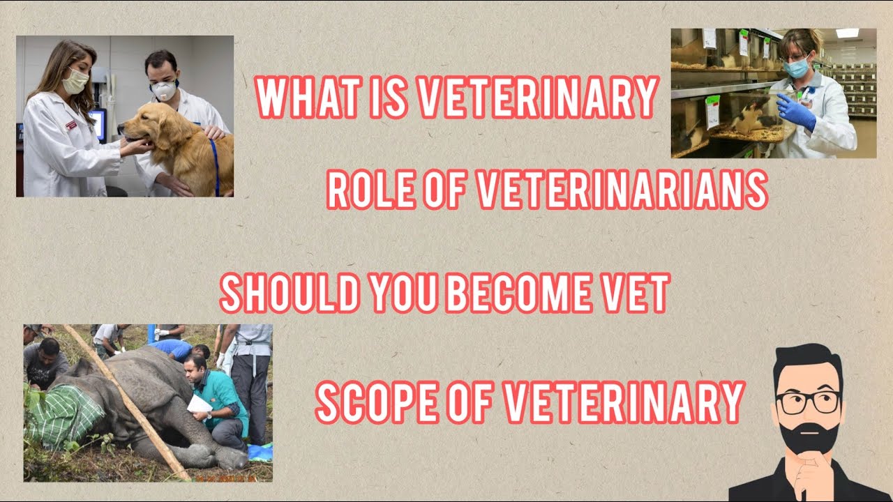Scope of veterinary (BVSc&AH)|veterinary in India|vet review