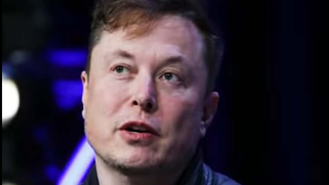 Elon Musk Posts EMBARASSING Pizzagate Meme