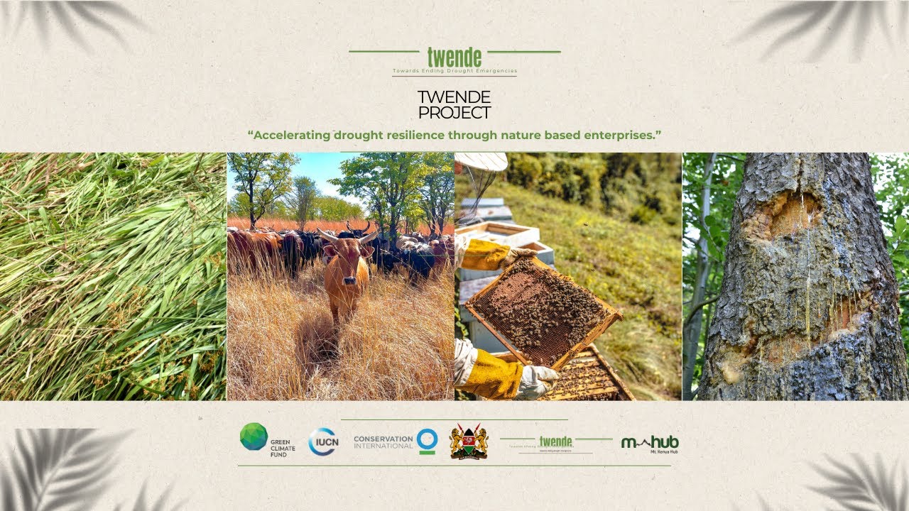 Part 1: Empowering Communities Through the TWENDE Project | Mt. Kenya Hub