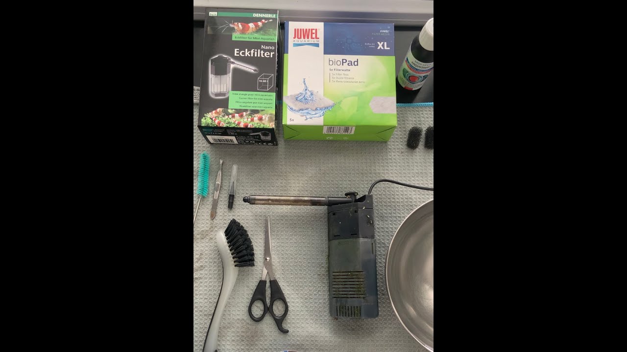 Changement et nettoyage de la filtration d'angle Dennerle