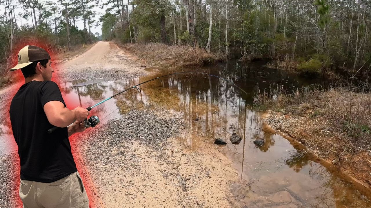 I Found A Flooded Road and Caught This!!