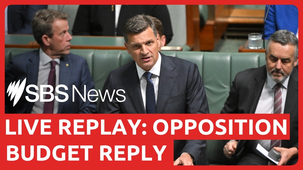 Budget reply speech live replay | SBS News