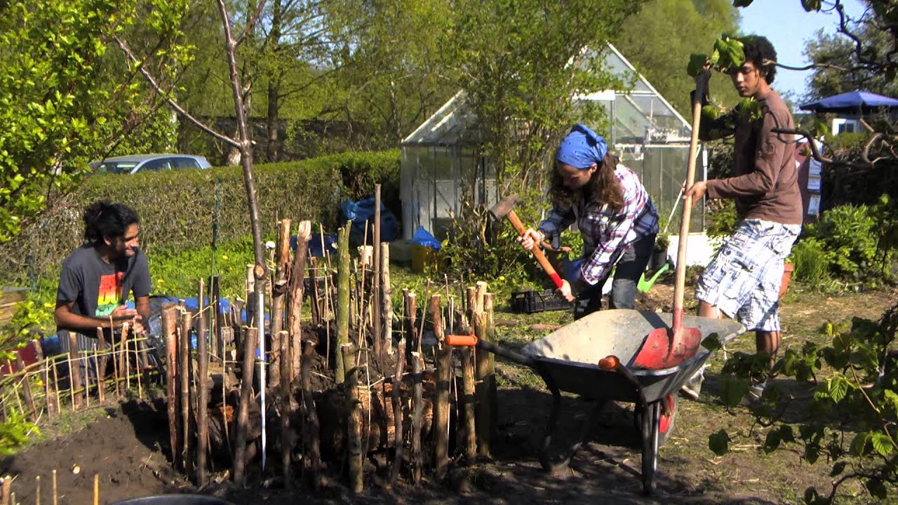 G(a)arden Eden - Ein Gemeinschaftsgarten in Kiel Gaarden