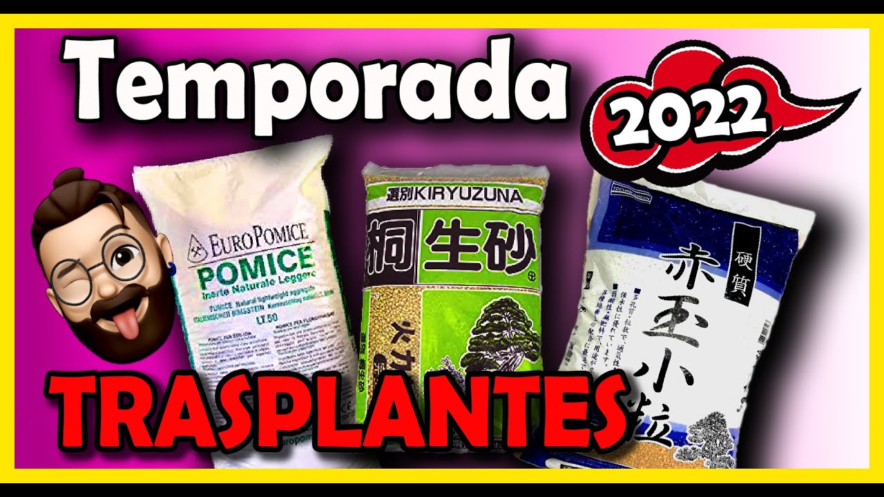 Como #LIMPIAR #POMICE y preparar #SUSTRATOS para la #TEMPORADA DE #TRASPLANTES 2022