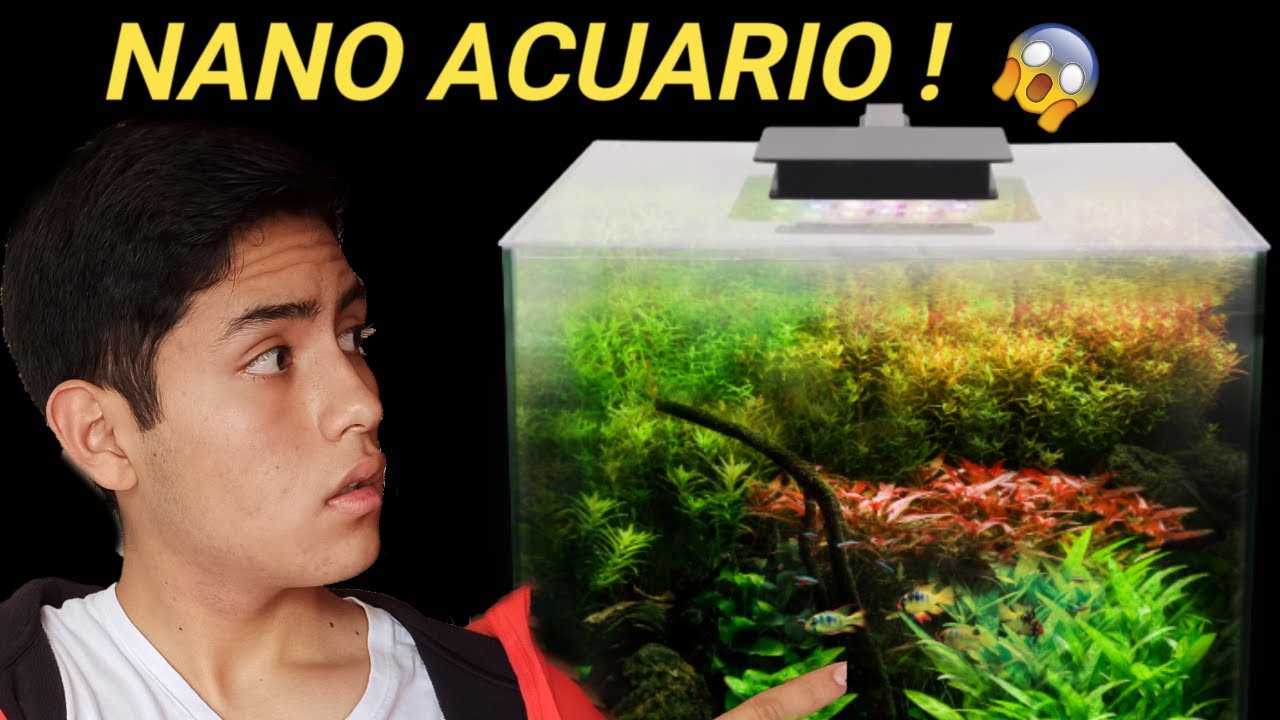 🚀 Como hacer un NANO ACUARIO PLANTADO -【montaje paso a paso ⚡】