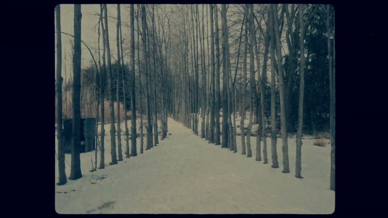 The Descendants of Silence and Coal (Official Video) Appalachian Dark Folk