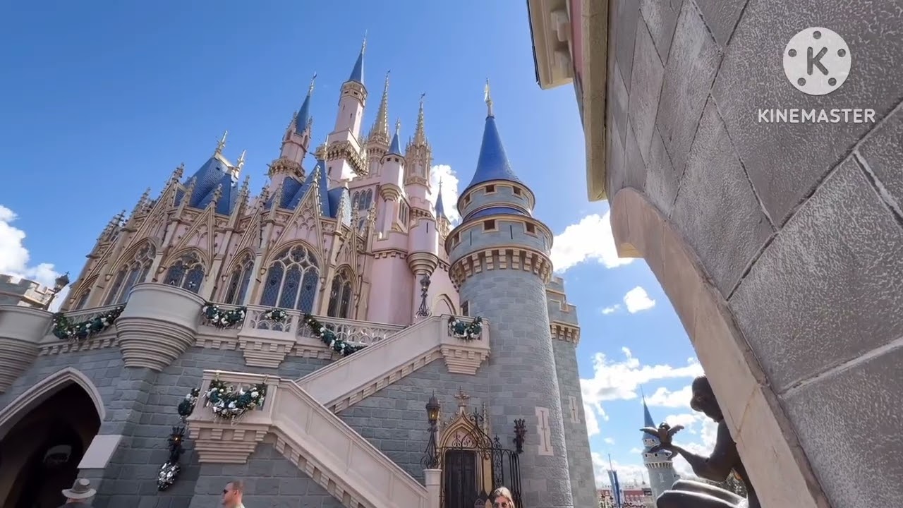 Pink Castle Footage Disney World 2026