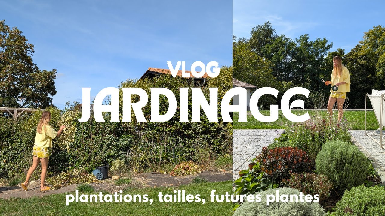 Vlog jardinage, profiter de l'été indien pour planter, tailler et réfléchir aux futures plantes.