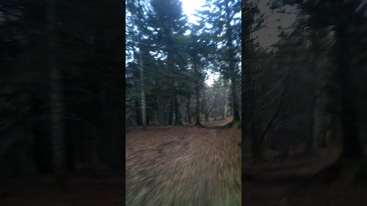 descente VTT col ceyssat