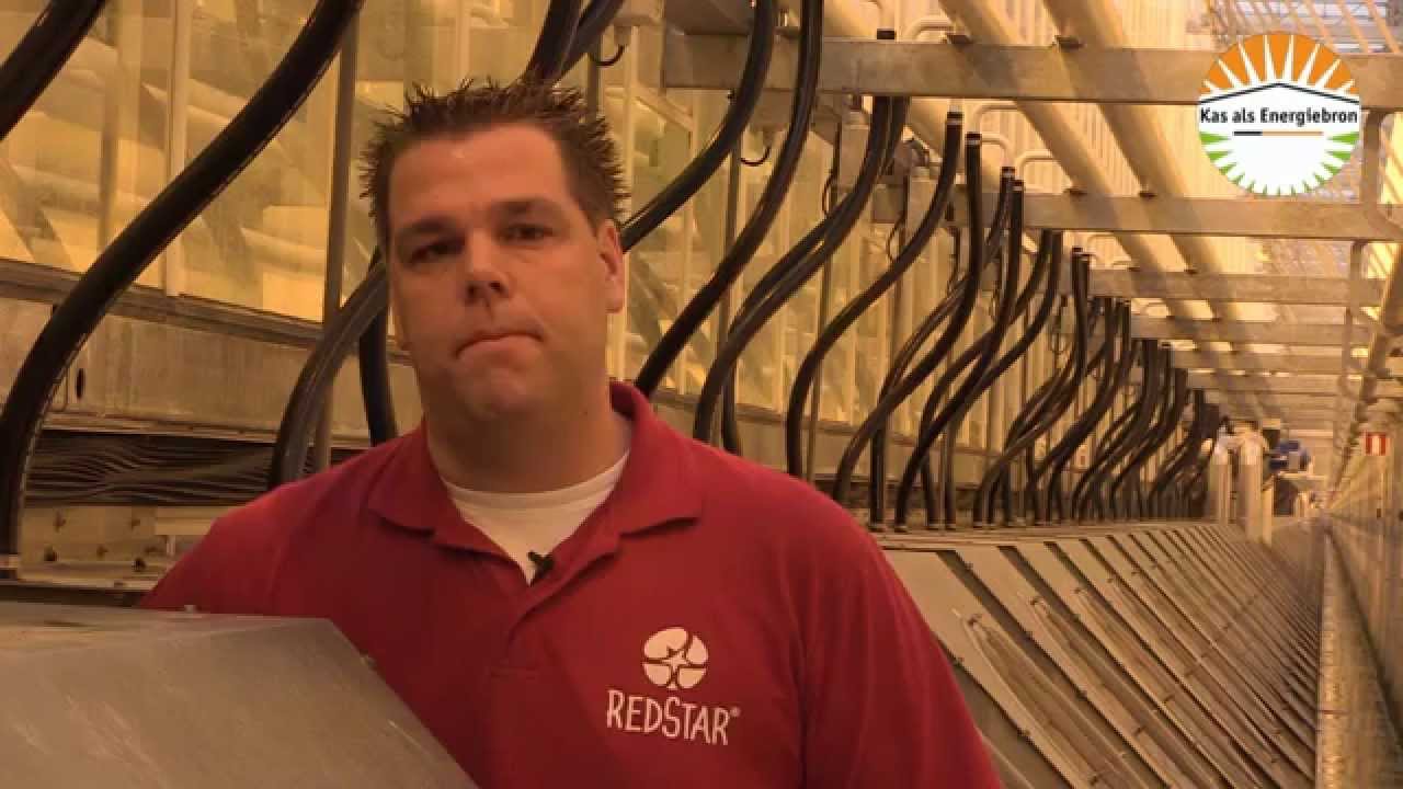 Kas als Energiebron - Project monitoring - RedStar, Fudinto B.V.