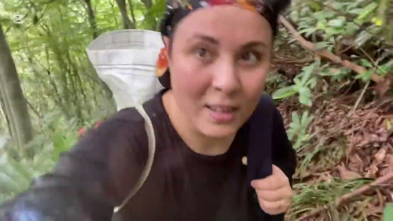 Yol Yoksa İçgüdü Var: Dağdaki Çayımızı Kestik 🍃⛰️