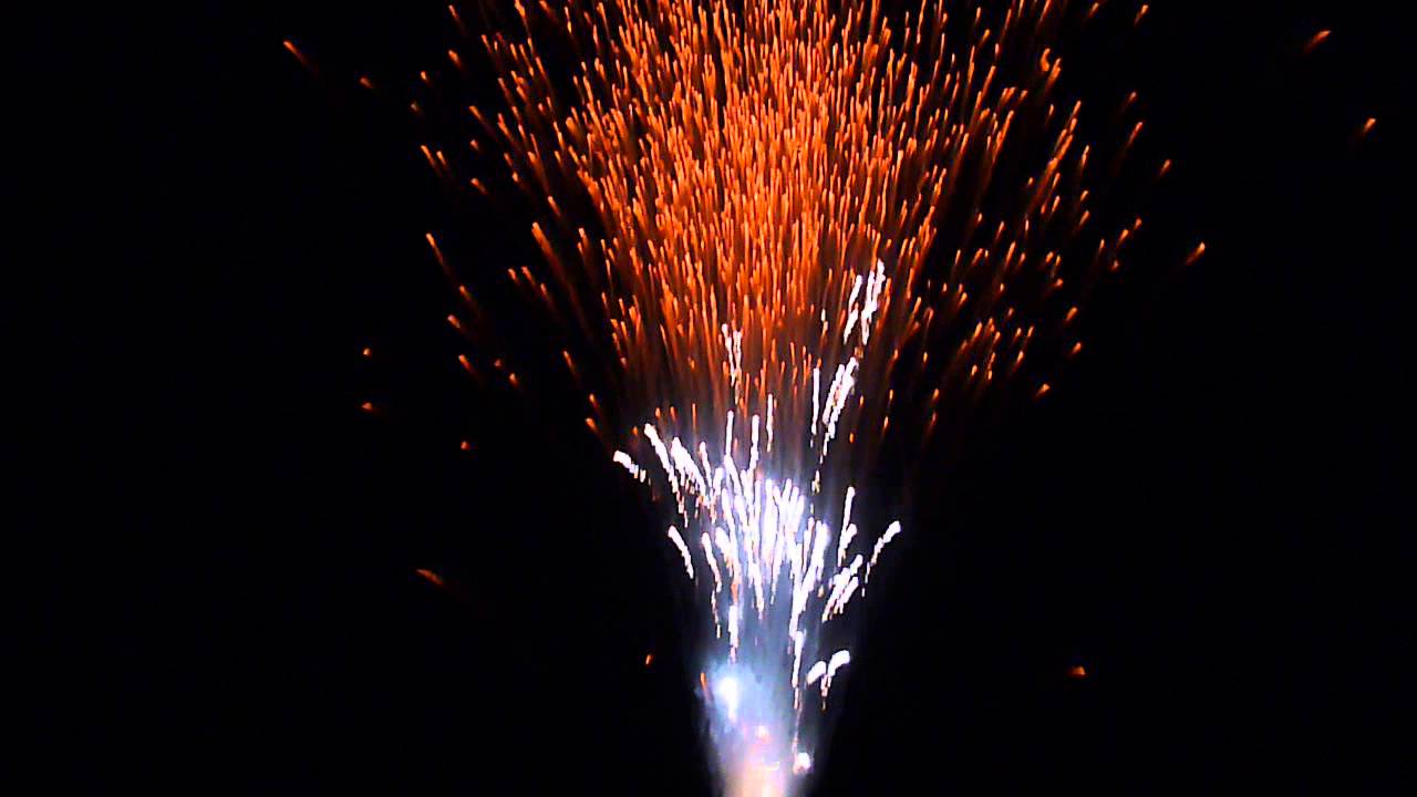 Palmera de la Virgen Extraordinaria 29/12/2012