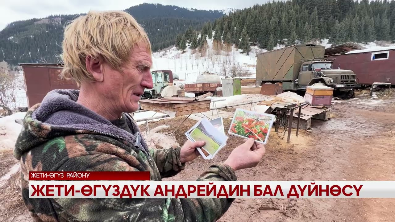 Жети - Өгүздүк Андрейдин бал дүйнөсү 