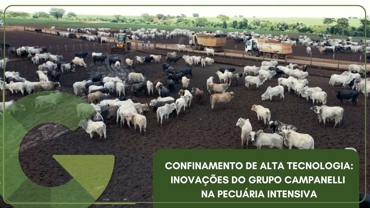 CONFINAMENTO DE ALTA TECNOLOGIA: INOVAÇÕES DO GRUPO CAMPANELLI NA PECUÁRIA INTENSIVA