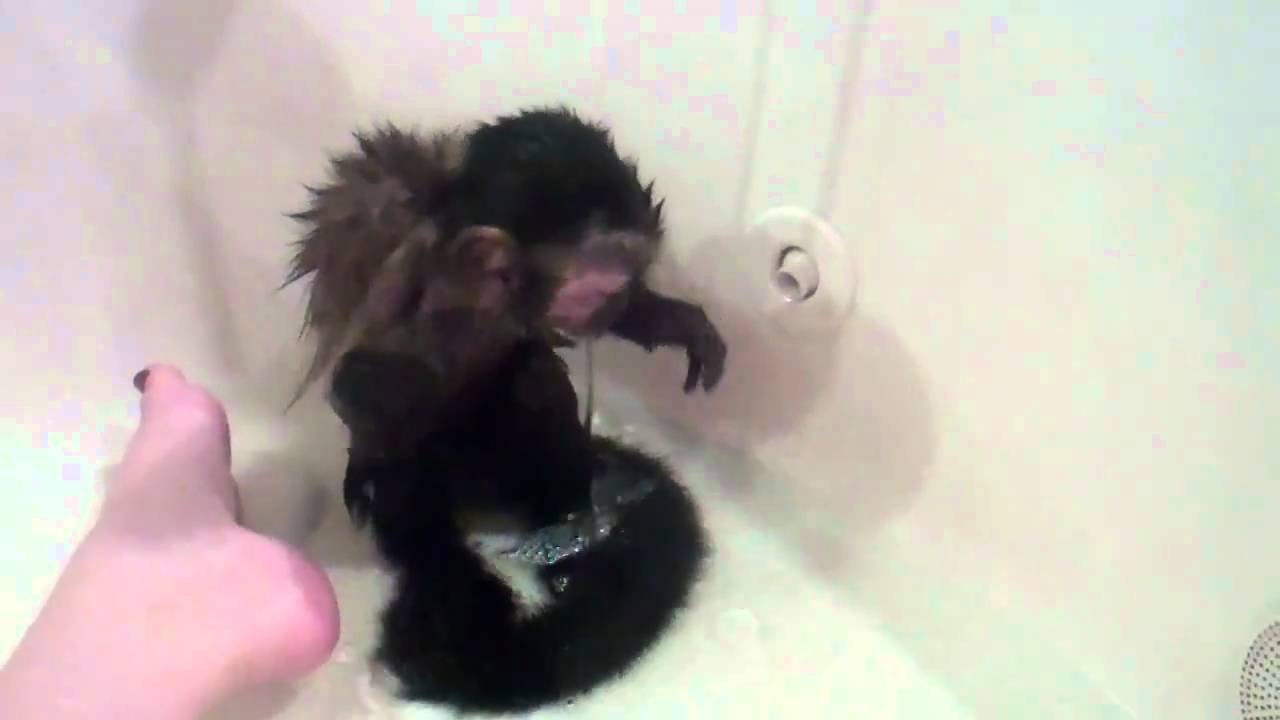 Luke taking a Bath