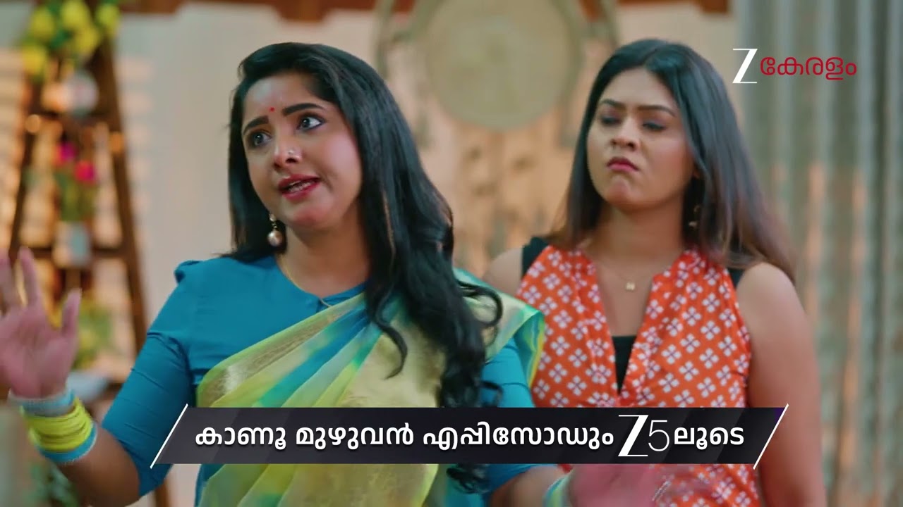 KrishnaGadha | Ep - 207 | Preview | Feb 13 2026 | Zee Keralam