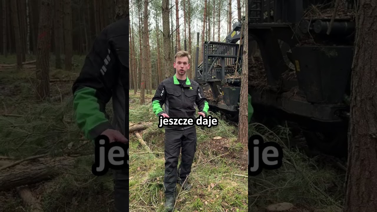 Tani forwarder? To może Cię drogo kosztować! 💸🚜