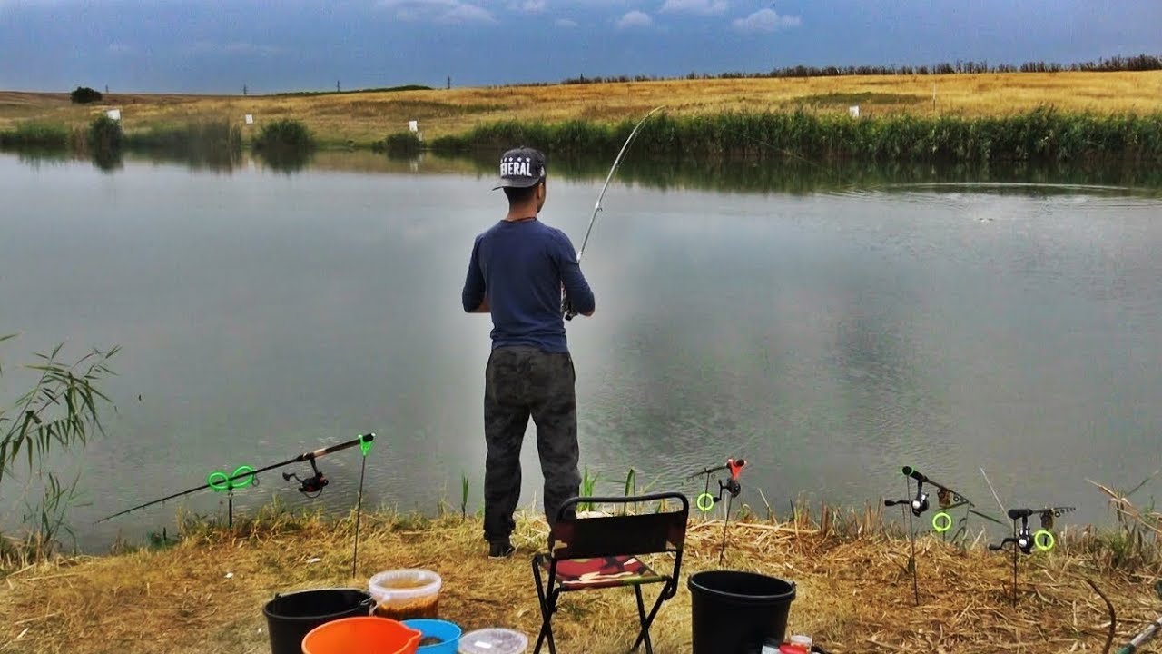 FEEDER FISHING WITH 2mm PELLETS I TEST THE FALL BAIT