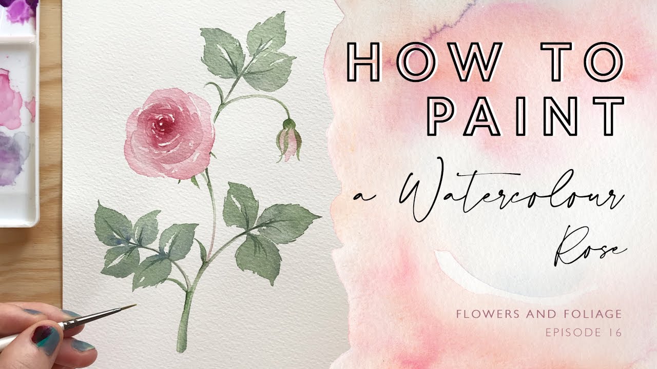 How to Paint a Watercolour Rose