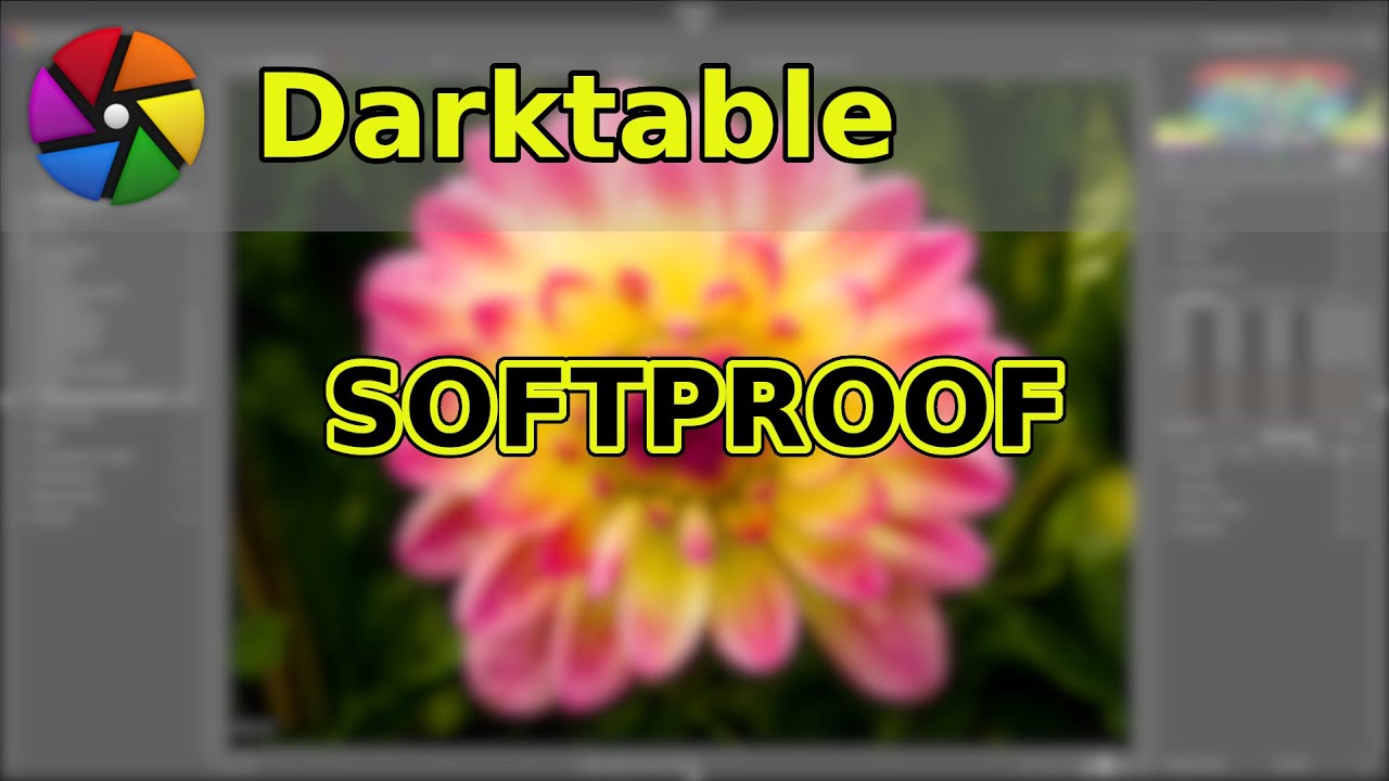 Softproofing &ndash; what is it and how does it work?