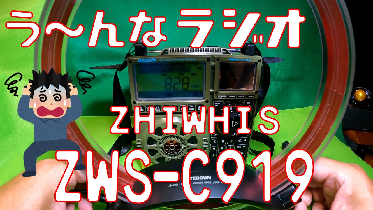 【無線】【ラジオ】う～ん、悩ましいラジオ ZHIWHIS ZWS-C919 高機能なんだけど