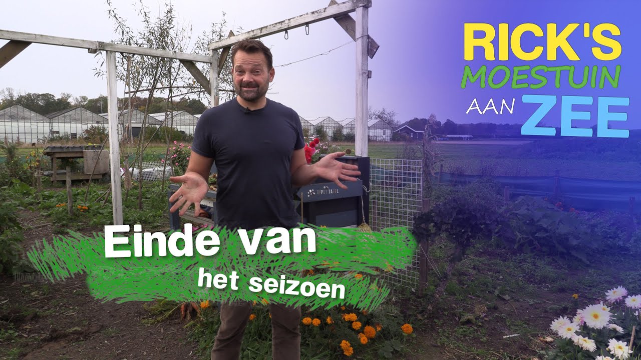 Einde van het moestuinseizoen, opruimen en terugblik | Alles Wat Bloeit | Rick's Moestuin Aan Zee