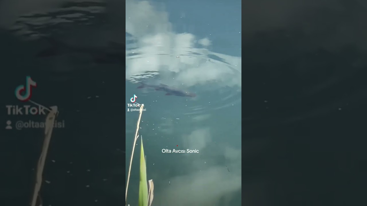 &Ouml;merli Barajı Kızılkanat Avı#lrf#fishing#balikavi