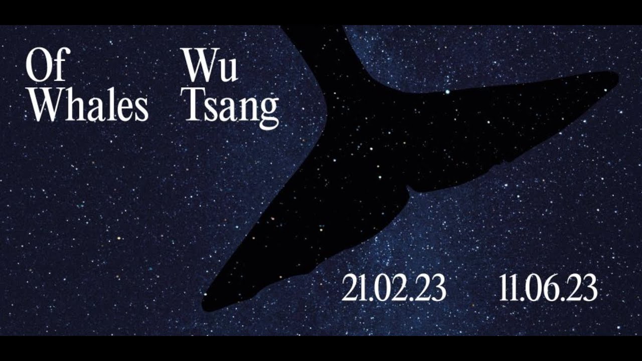 WU TSANG: OF WHALES