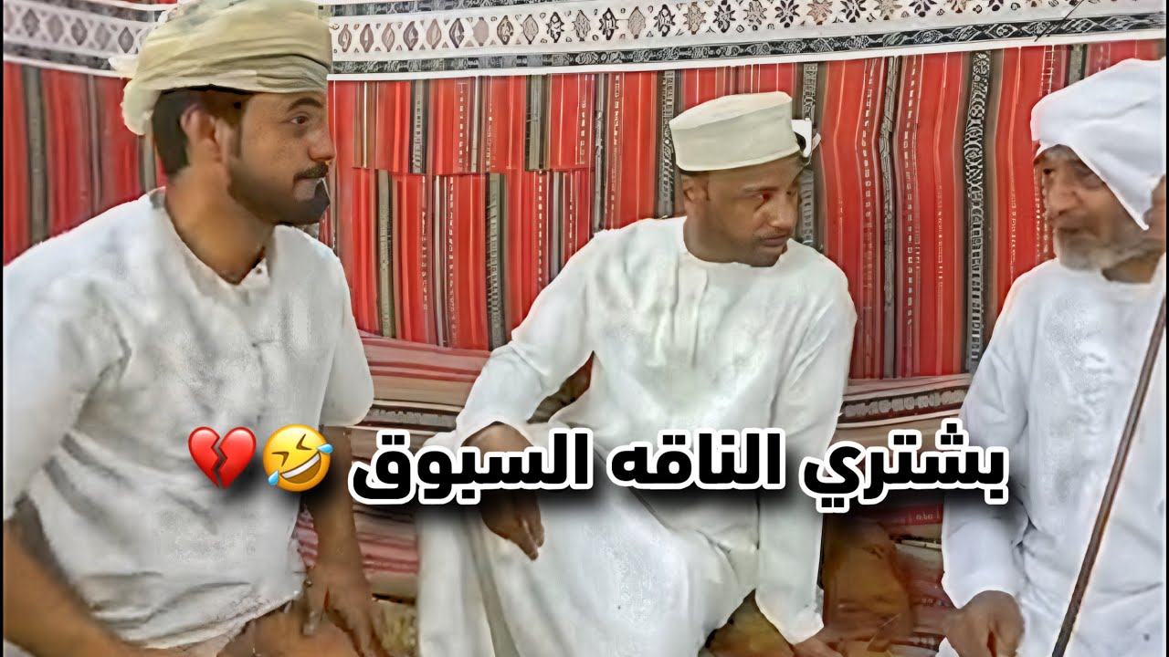 خميس معزم يشتري (ناقه ابو سيف )🤣