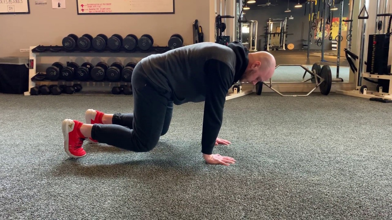 Bear Position Plank