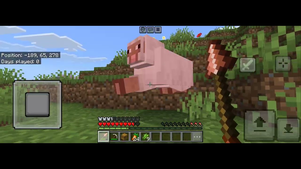 Day 1 of my 1 to 100 days suvival world -EP 1-