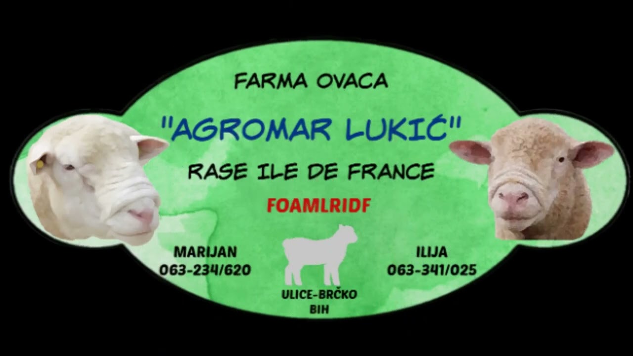 Farma Ovaca 
