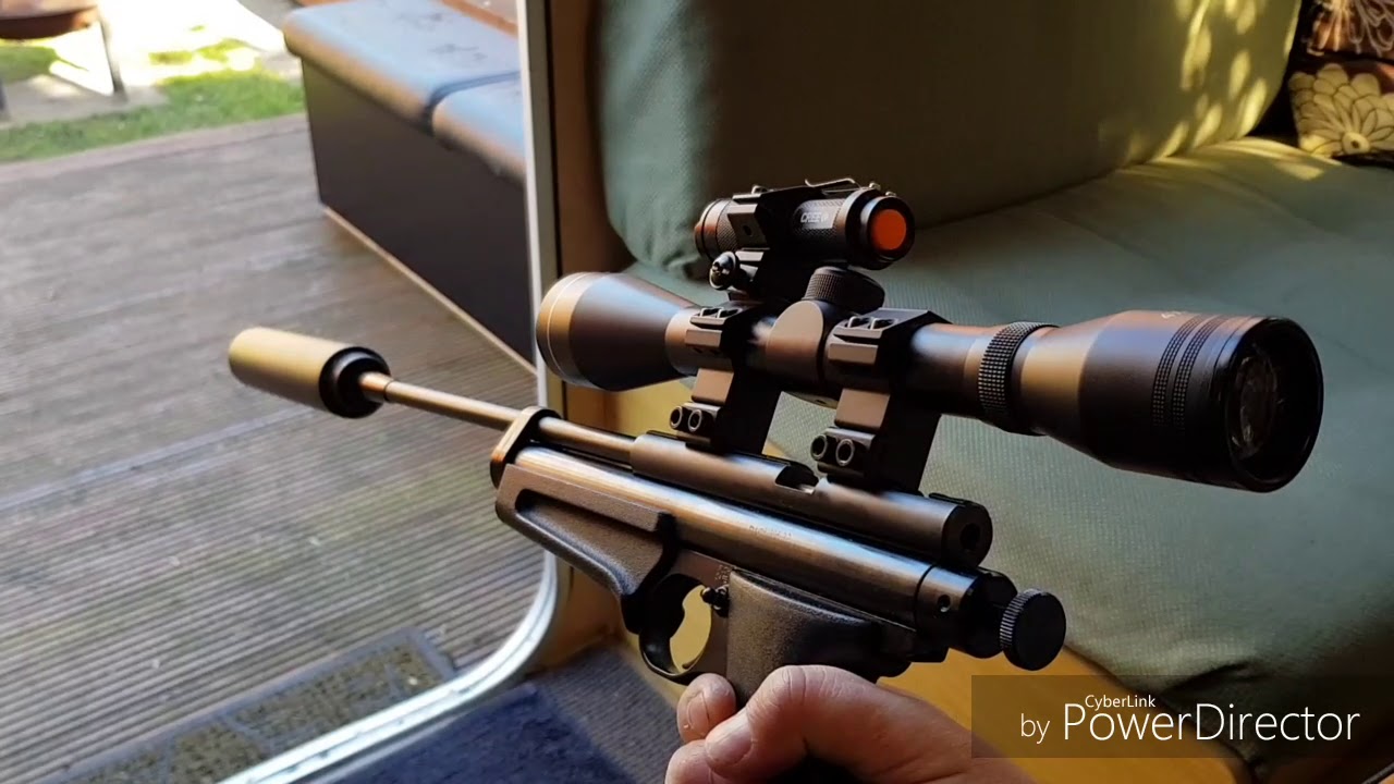 Crosman Ratcatcher 2250