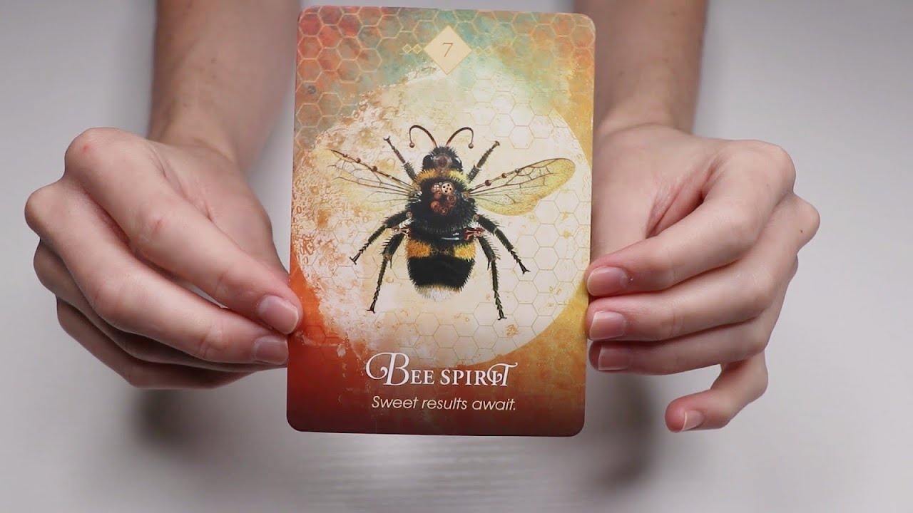 This Message Was Meant To Find You 🐝 Pick A Card