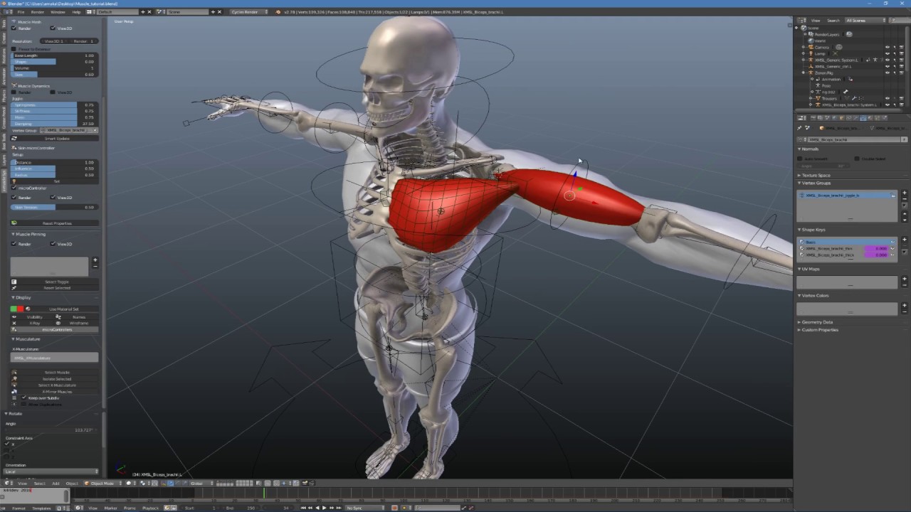 Blender X-Muscle System Realistic Muscle Creation Process Tutorial