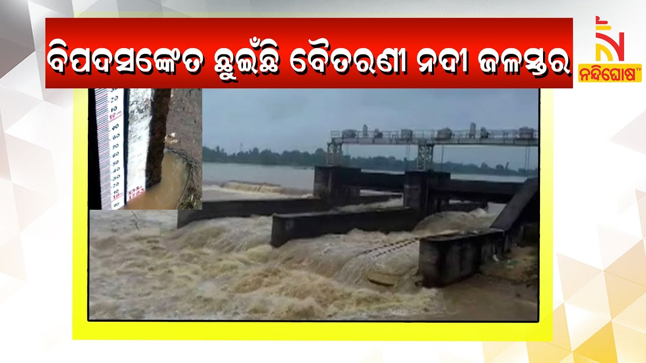 Baitarani River Crosses Danger Mark In Bhadrak Due To Heavy Rainfall | NandighoshaTV
