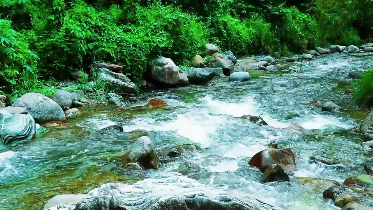 The River's Quiet Prayer, Natures Calm for a Restful Night